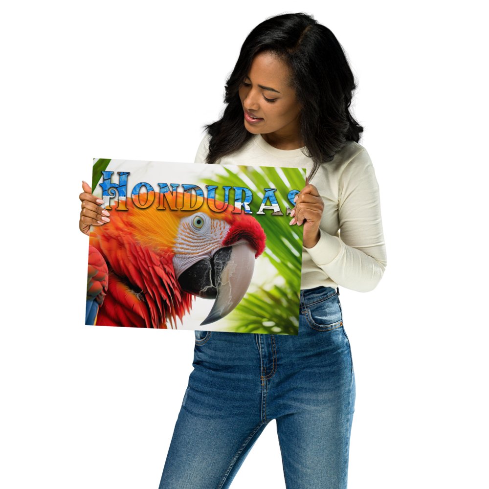 Stunning Honduras Macaw Metal Wall Decor – Infuse Your Space with Nature's Beauty and Vivid Colors