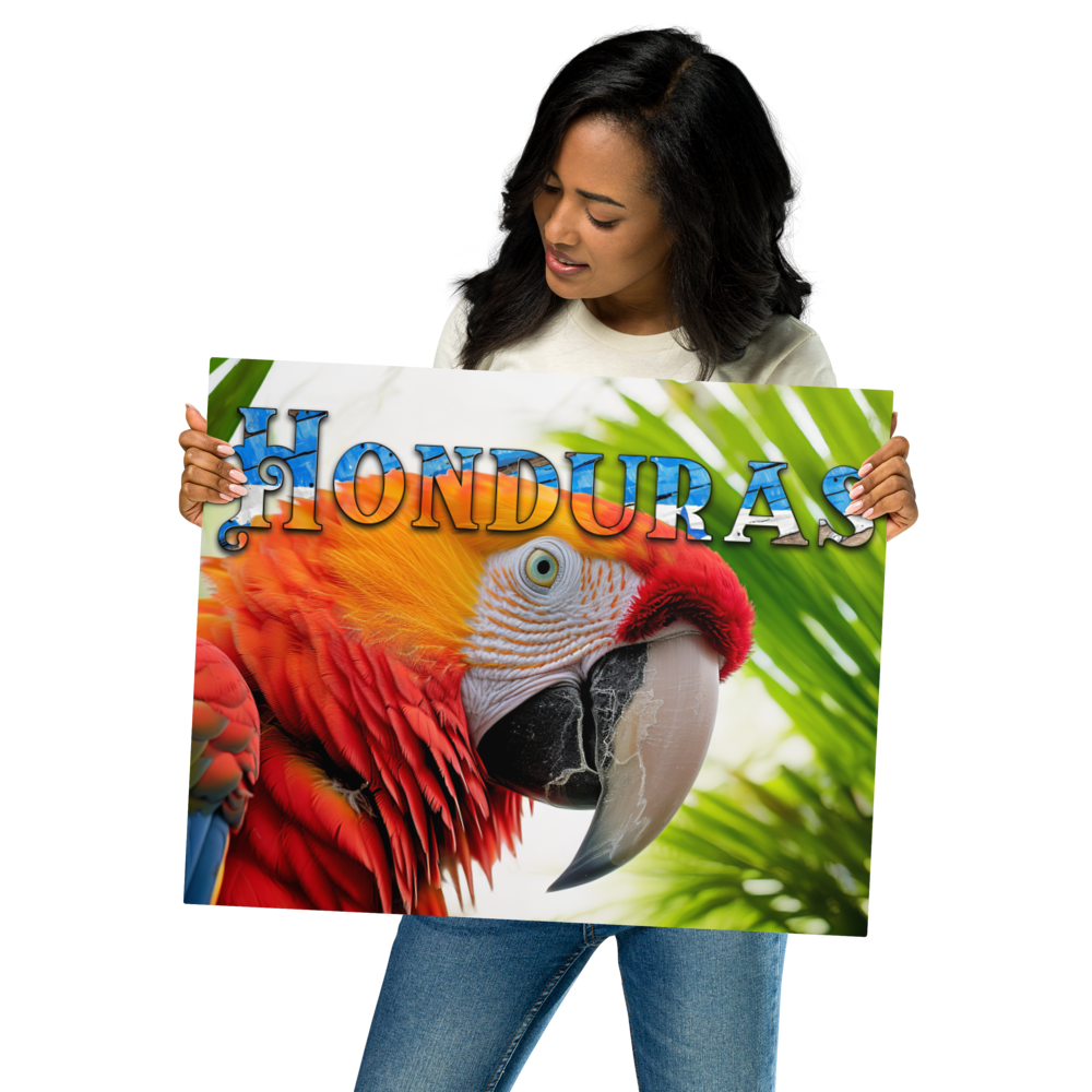 Stunning Honduras Macaw Metal Wall Decor – Infuse Your Space with Nature's Beauty and Vivid Colors