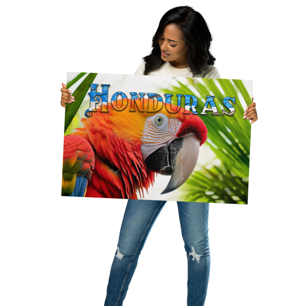 Stunning Honduras Macaw Metal Wall Decor – Infuse Your Space with Nature's Beauty and Vivid Colors