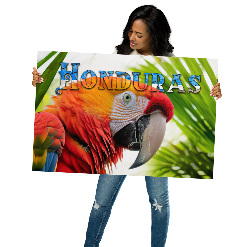Stunning Honduras Macaw Metal Wall Decor – Infuse Your Space with Nature's Beauty and Vivid Colors